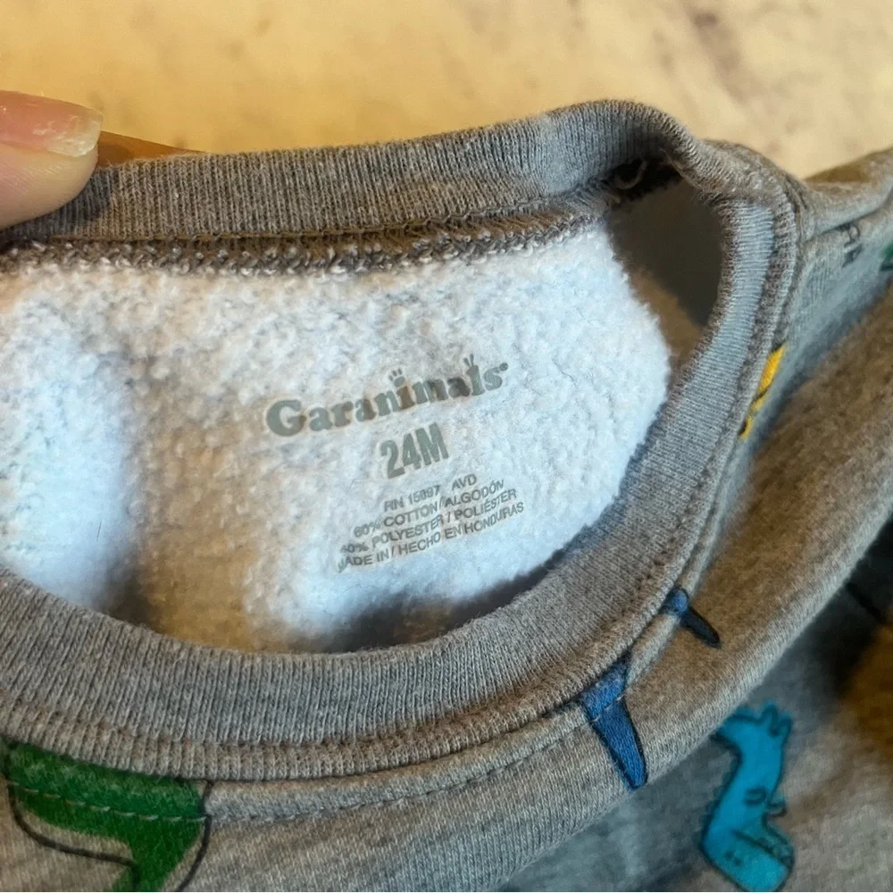 Garanimals Dinosaur and Bear 24 Month Fleece Lon Sleeve Sweater Tops Lot of 2_7